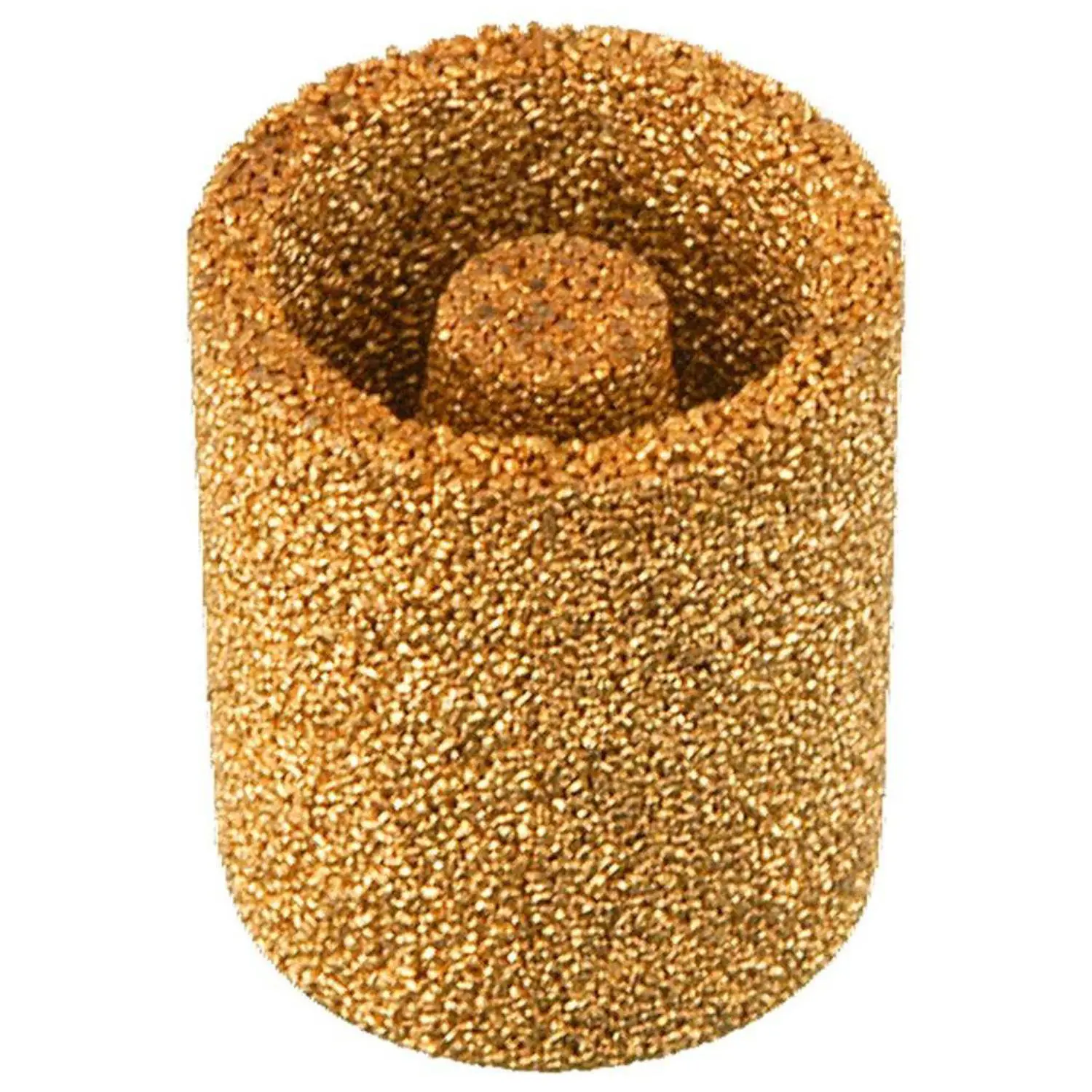 Fram CG13 Fuel Filter