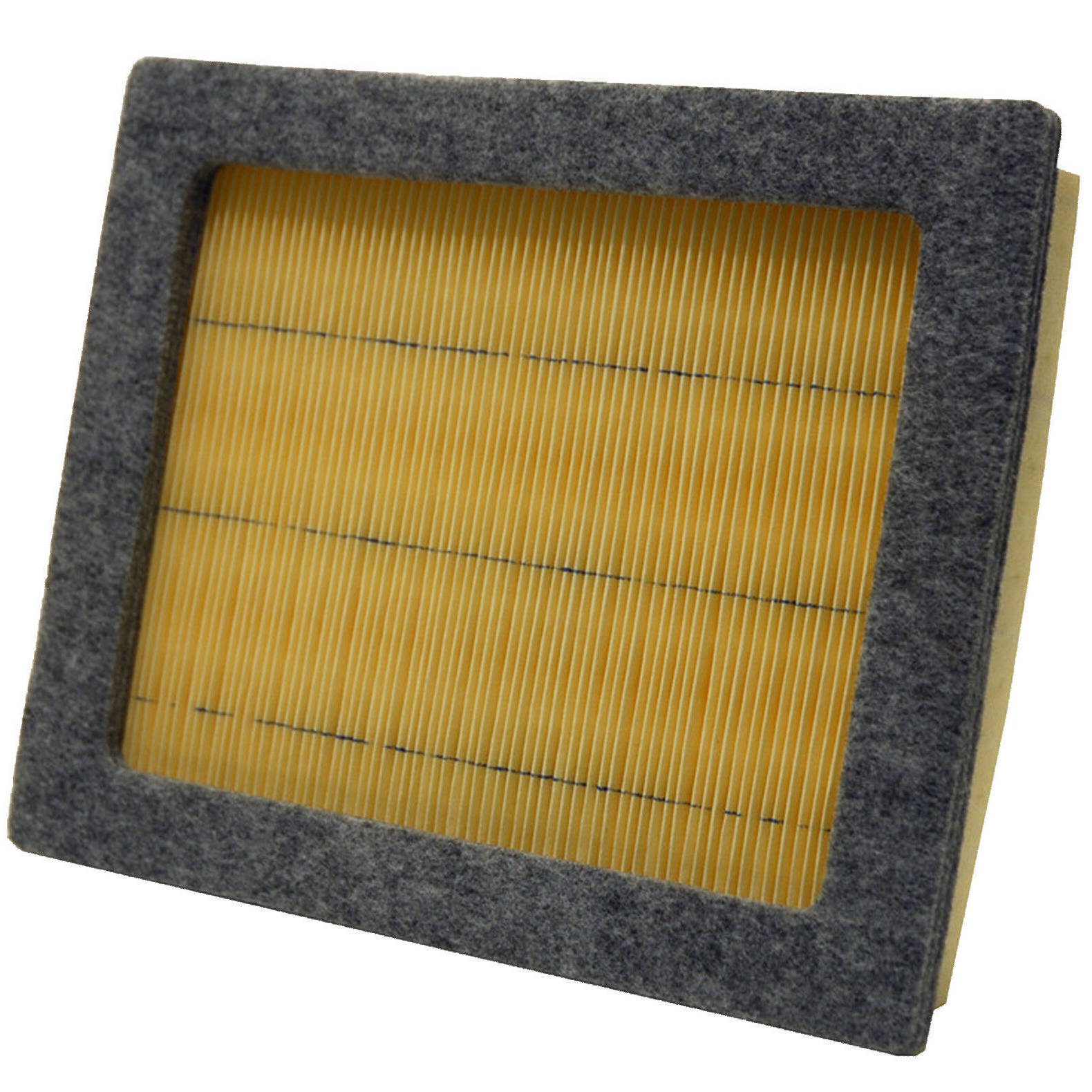 2001 Ford F150 Air Filter