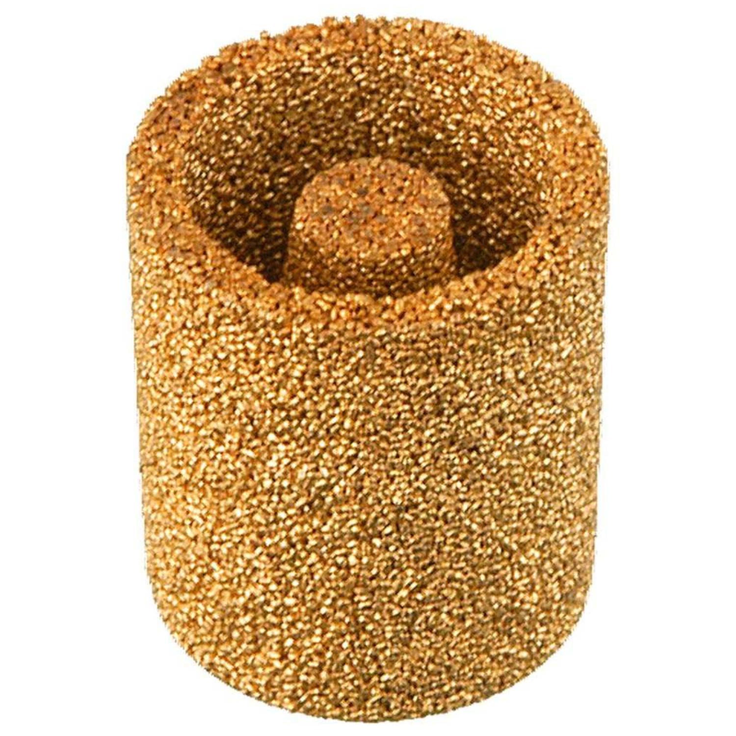 Fram CG13 Fuel Filter